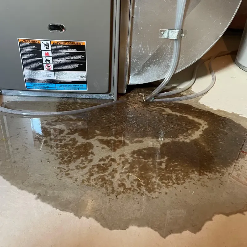 Appliance Leak Cleanup in Bryan, OH